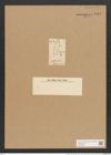 Campylodiscus moydon (Ehr.) Ralfs. (de-Toni-Nr.: Genus 57, Species 2536/113) Zeichnungen Sammlung Grunow Nr. 5036 (NHMW-BOT-W0373294)